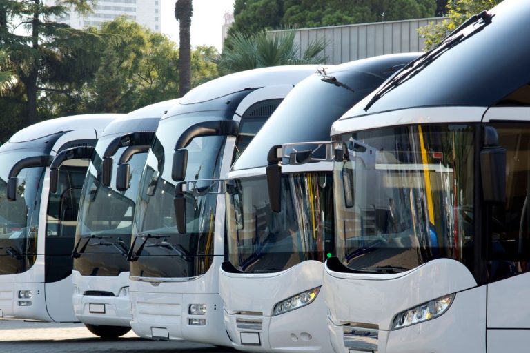bus c6